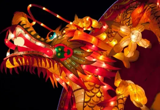 Wishing you a Chinese New Year filled with joy and celebration.